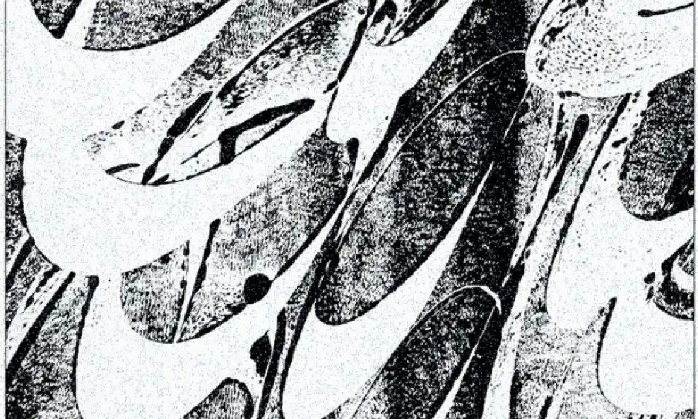 Bild der Quelle — Cross.Currents presents: August Cooke, Inbuilt Obsolescence, Knee Gnaw.