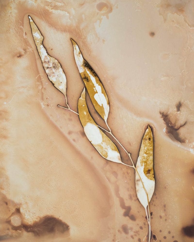 Imagen de la fuente — Anaïs Tondeur