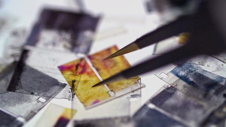 Source image — Roundtable with Marie J. Jean, Emmanuel Licha, and Sanaz Sohrabi