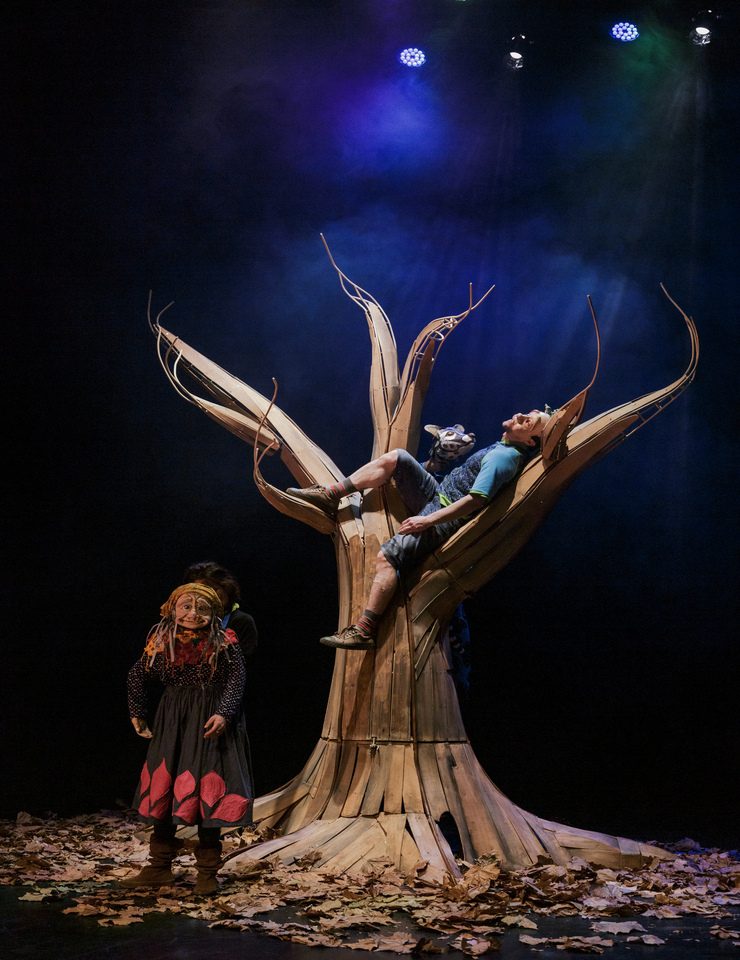 Imagem da fonte — A ÁRVORE DA MINHA AVÓ - 16º FESTIVAL MARIONETAS AO CENTRO