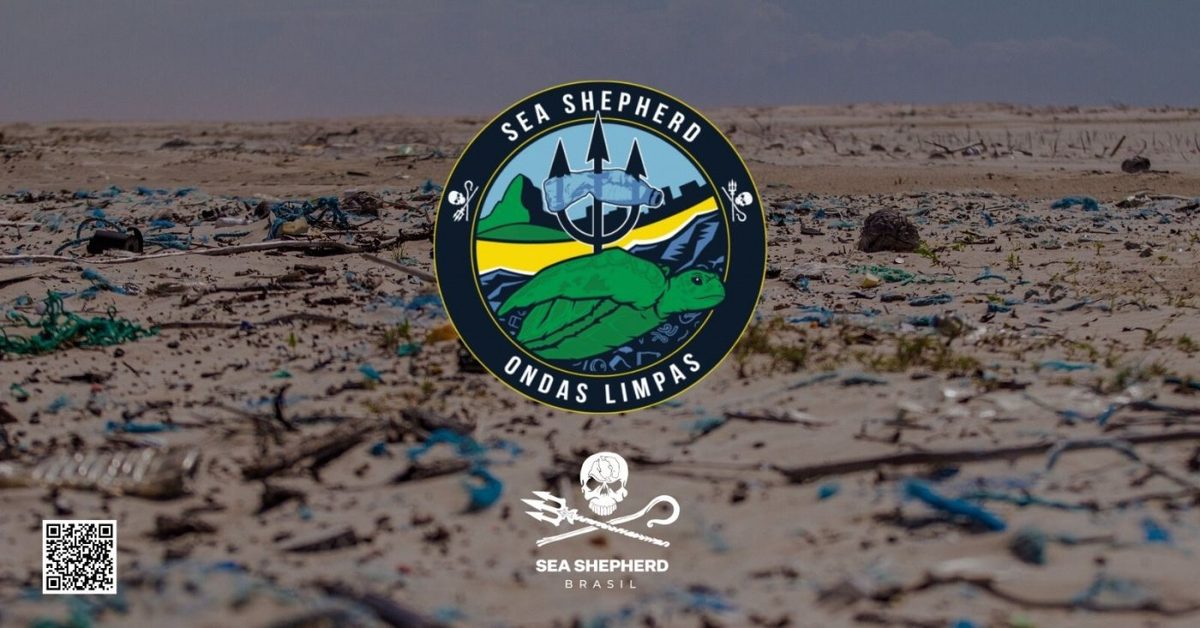 Afbeelding van de bron — MARESIAS - SÃO SEBASTIÃO SP |Ondas Limpas Sea Shepherd Brasil