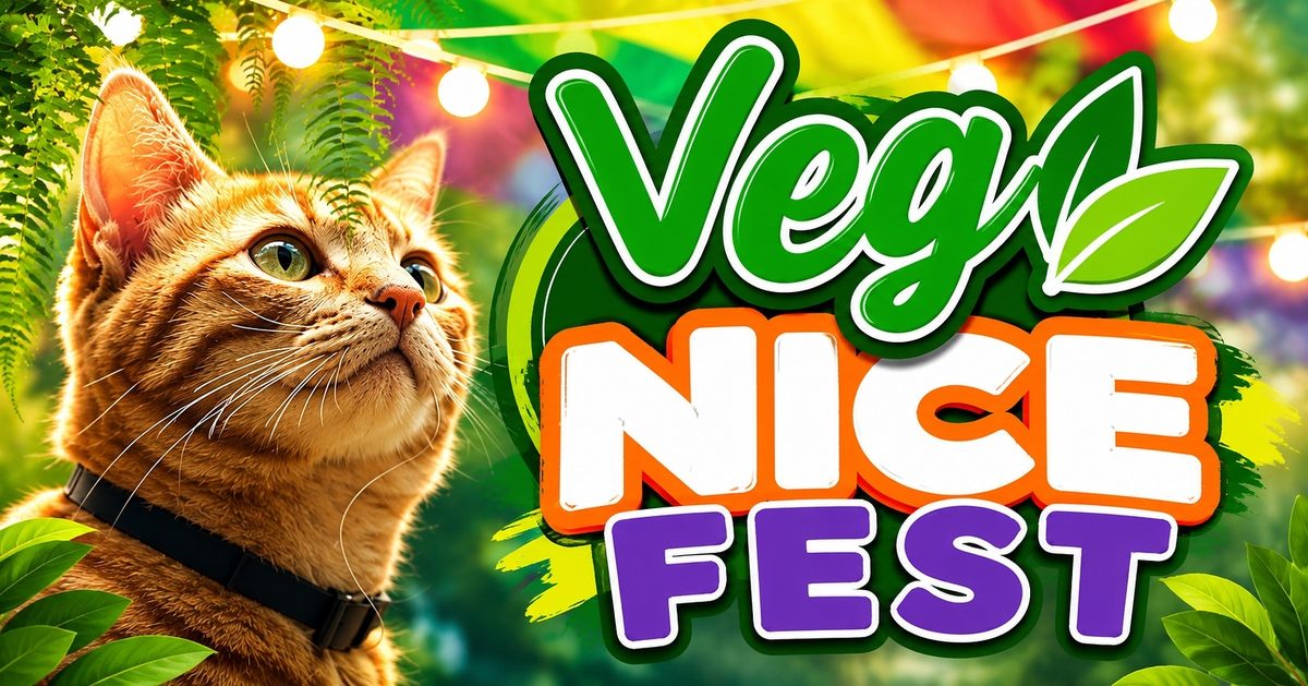 Immagine della fonte — Vegnice Fest