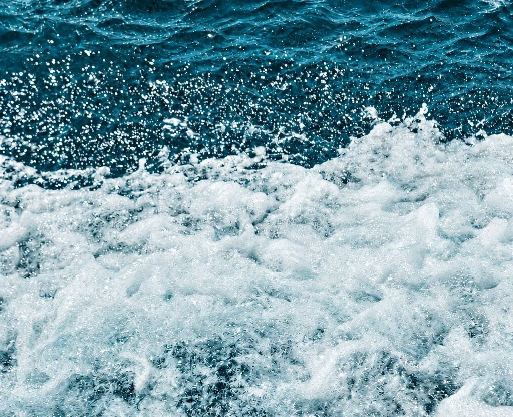 Imagem da fonte — Sentimento Oceânico da Vida