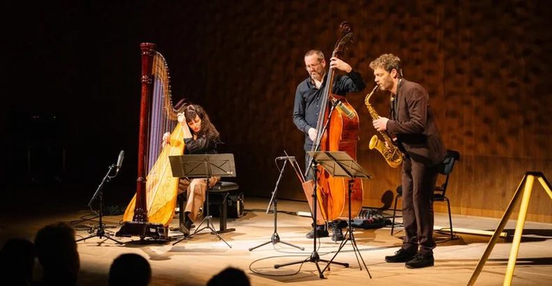 来源图片 — Kathrin Pechlof Trio