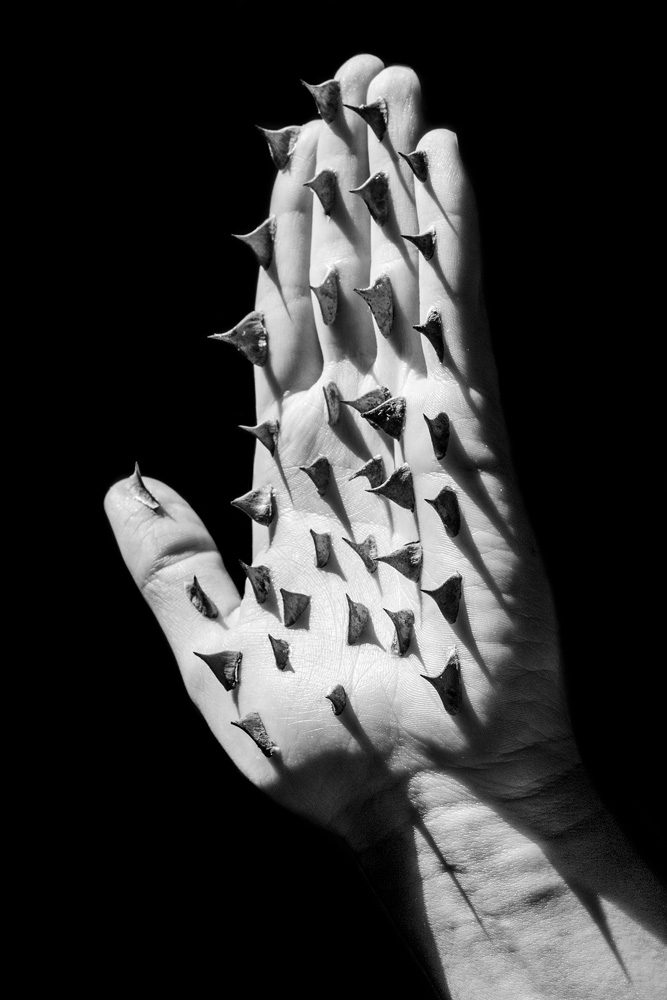Immagine della fonte — Chloé Azzopardi