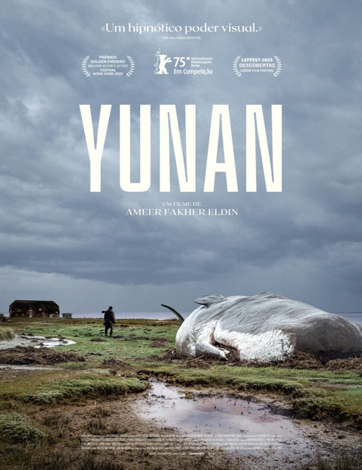 Imagem da fonte — YUNAN