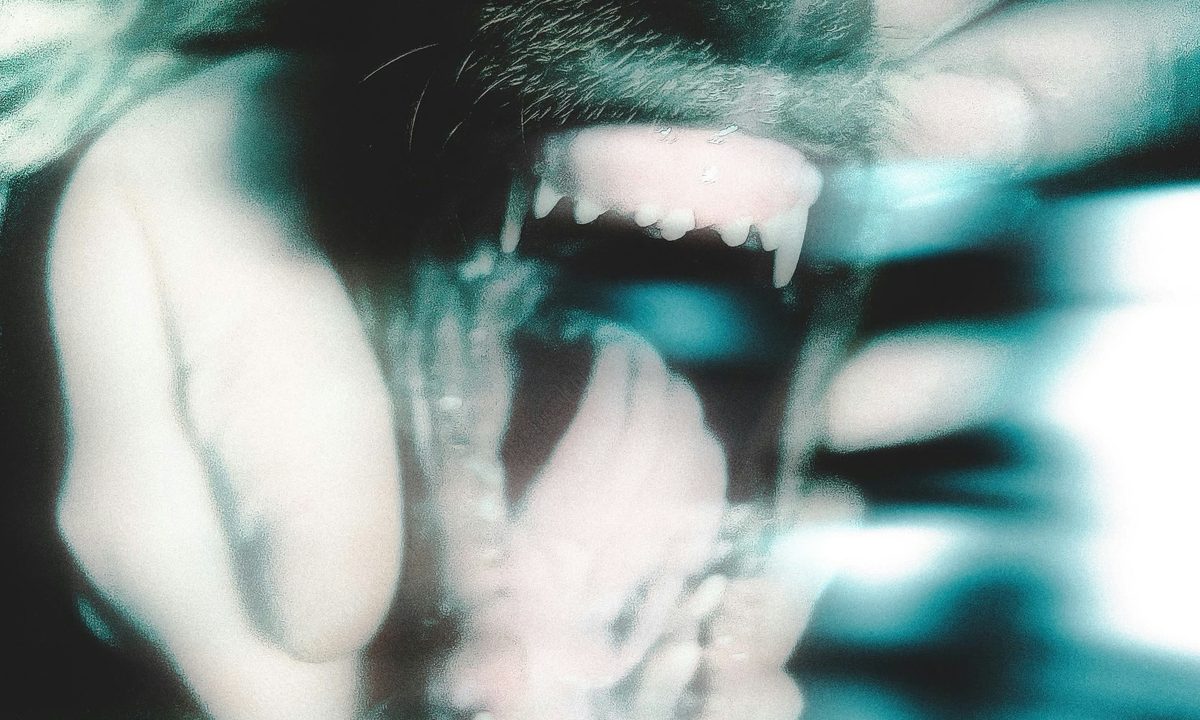 Imagen de la fuente — Puppy Teeth debut EP release show