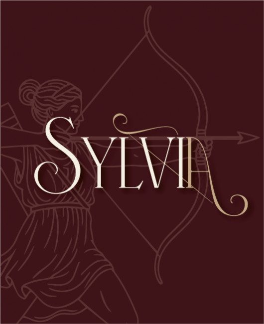 Imagem da fonte — BALLET ETUDE SEASONS | SYLVIA