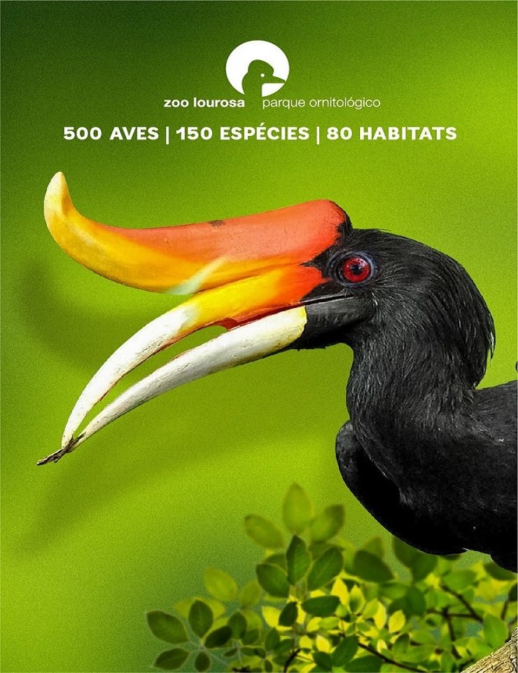 Source image — ZOO DE LOUROSA