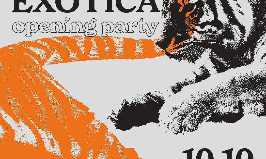 Imagem da fonte — DISCO EXOTICA