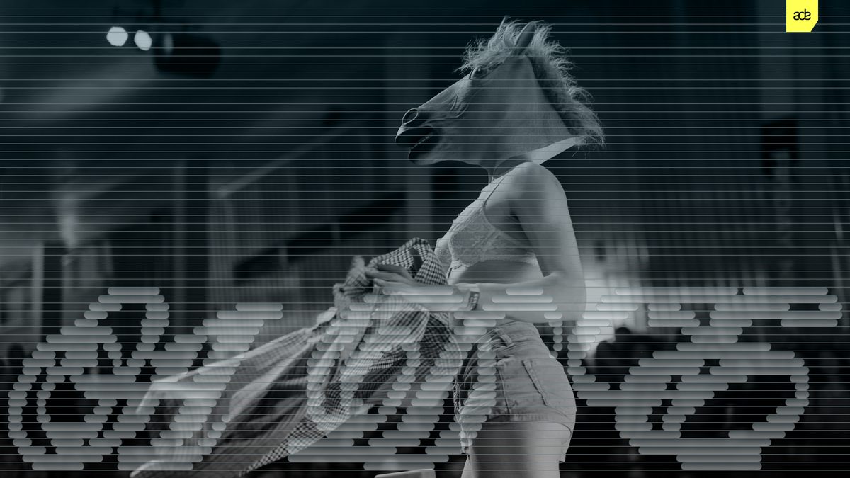 Source image — PAARDENRAVE