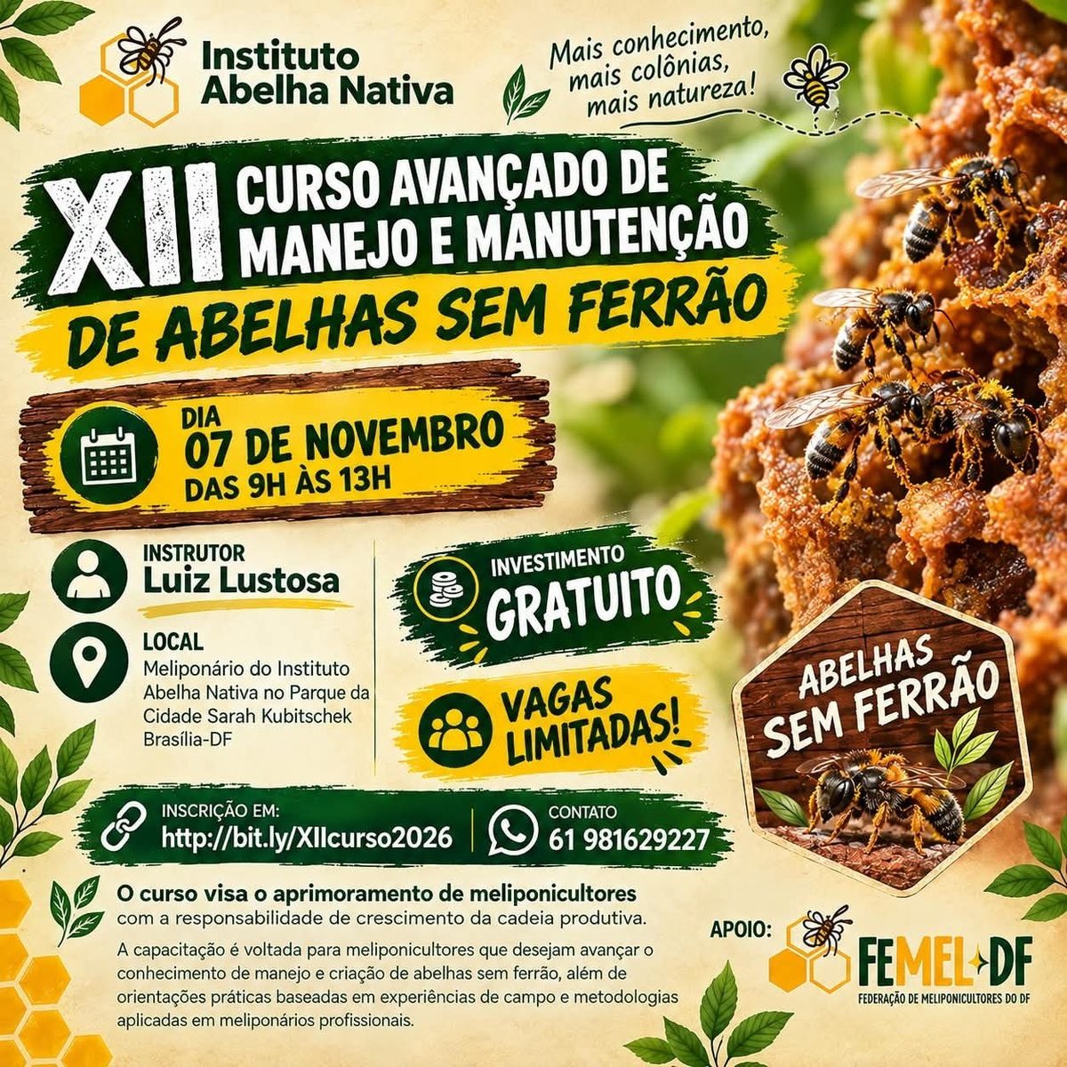Imagem da fonte — XII Curso de Manejo e Manutenção de Abelhas Sem Ferrão
