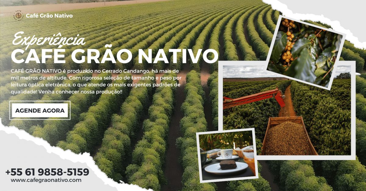 Immagine della fonte — EXPERIÊNCIA SANTA ROSA 31/10 - CAFÉ GRÃO NATIVO