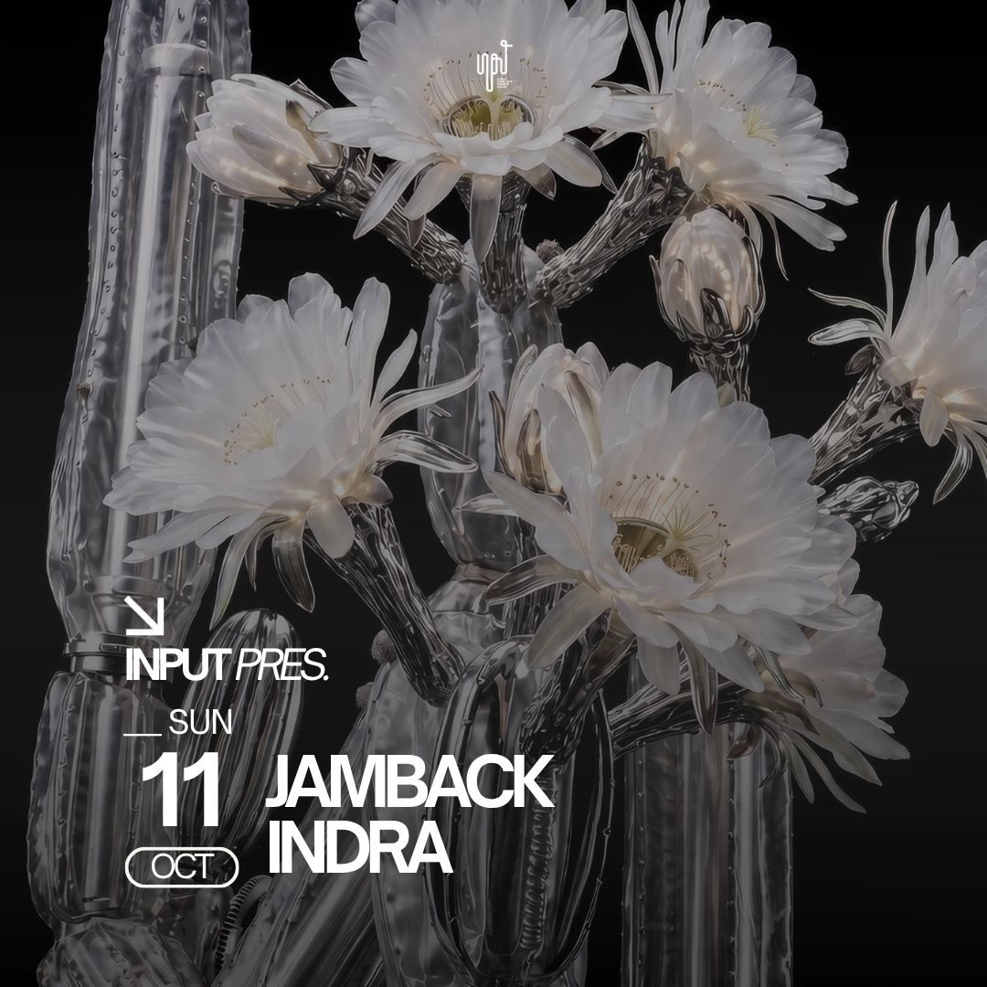 Source image — INPUT PRES. JAMBACK