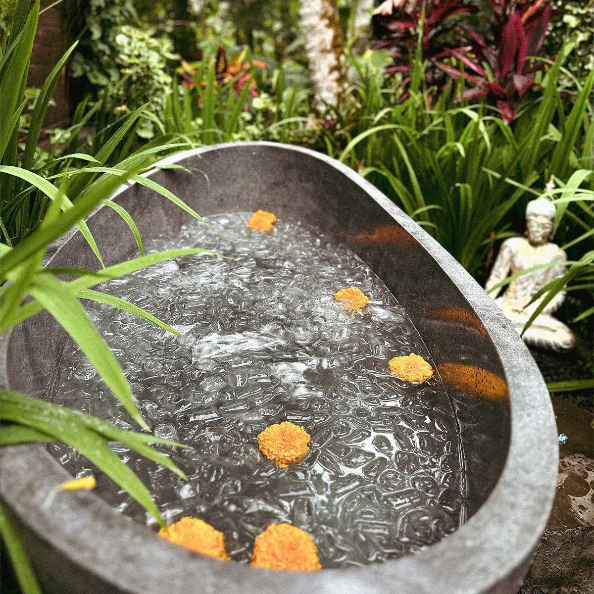 Source image — 1:1 Breathwork & Ice Immersion