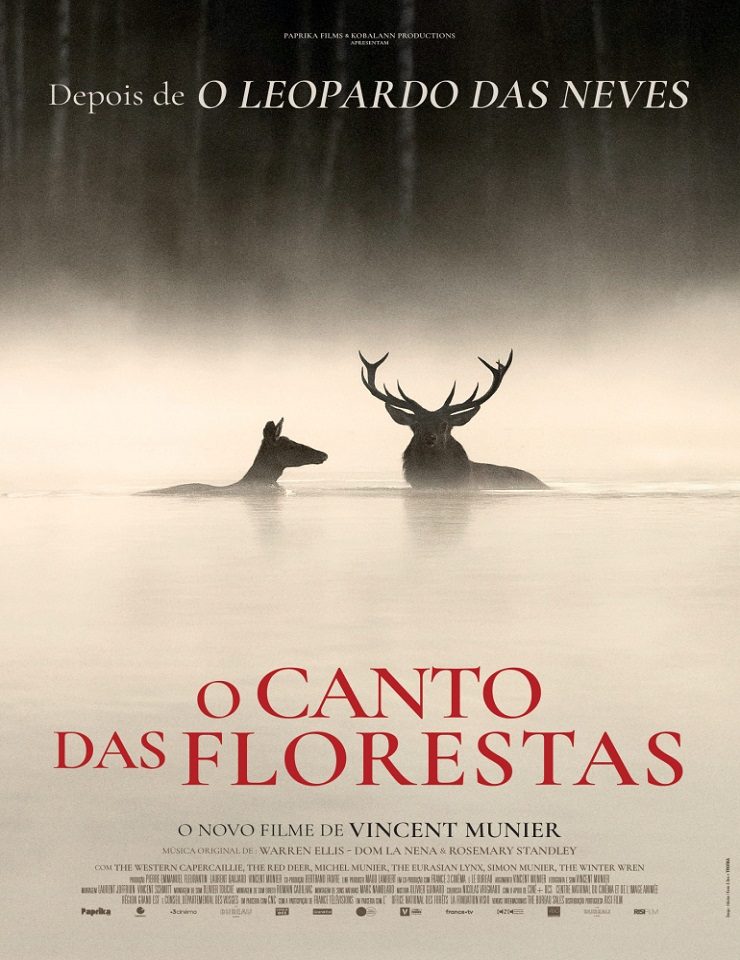 Imagem da fonte — 27 Festa Do Cinema Francês - O CANTO DAS FLORESTAS