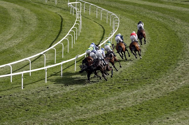 Imagem da fonte — Boxing Day Racing