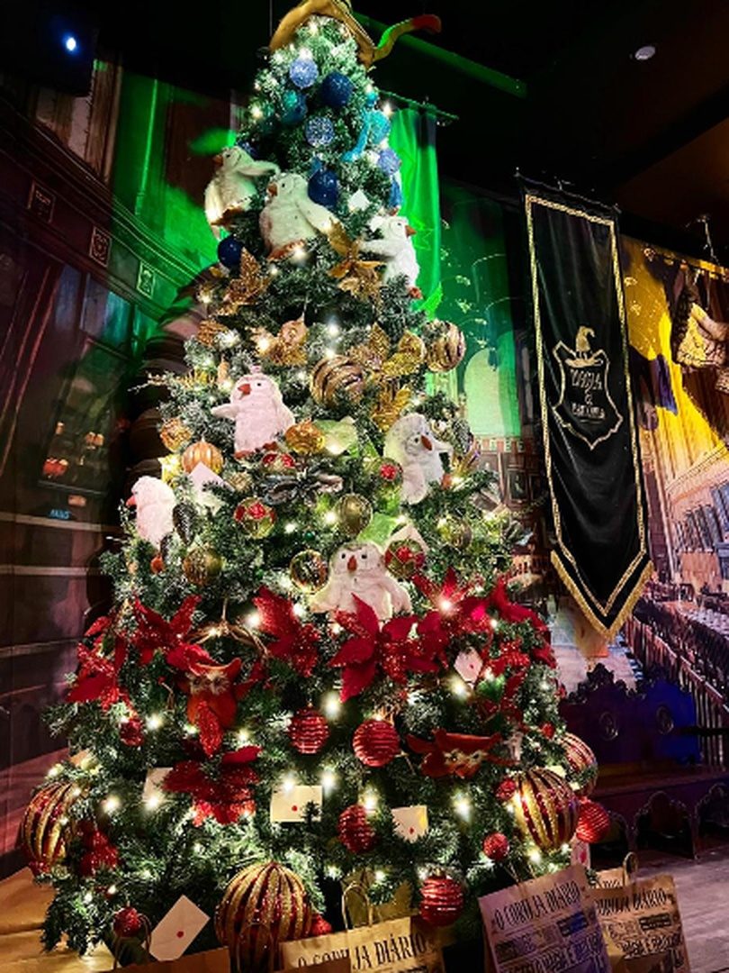 Imagem da fonte — Dezembro - Magia & Bruxaria