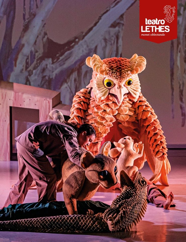 出典の画像 — LA GATA QUE QUERÍA CAMBIAR LA HISTORIA