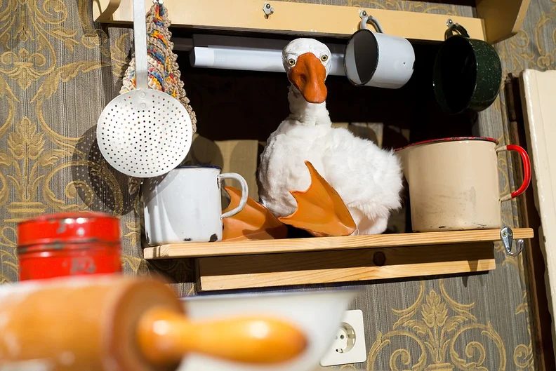출처 이미지 — Auguste the Christmas Goose