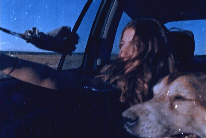 Bild der Quelle — Traça - Mostra de Filmes de Arquivos Familiares