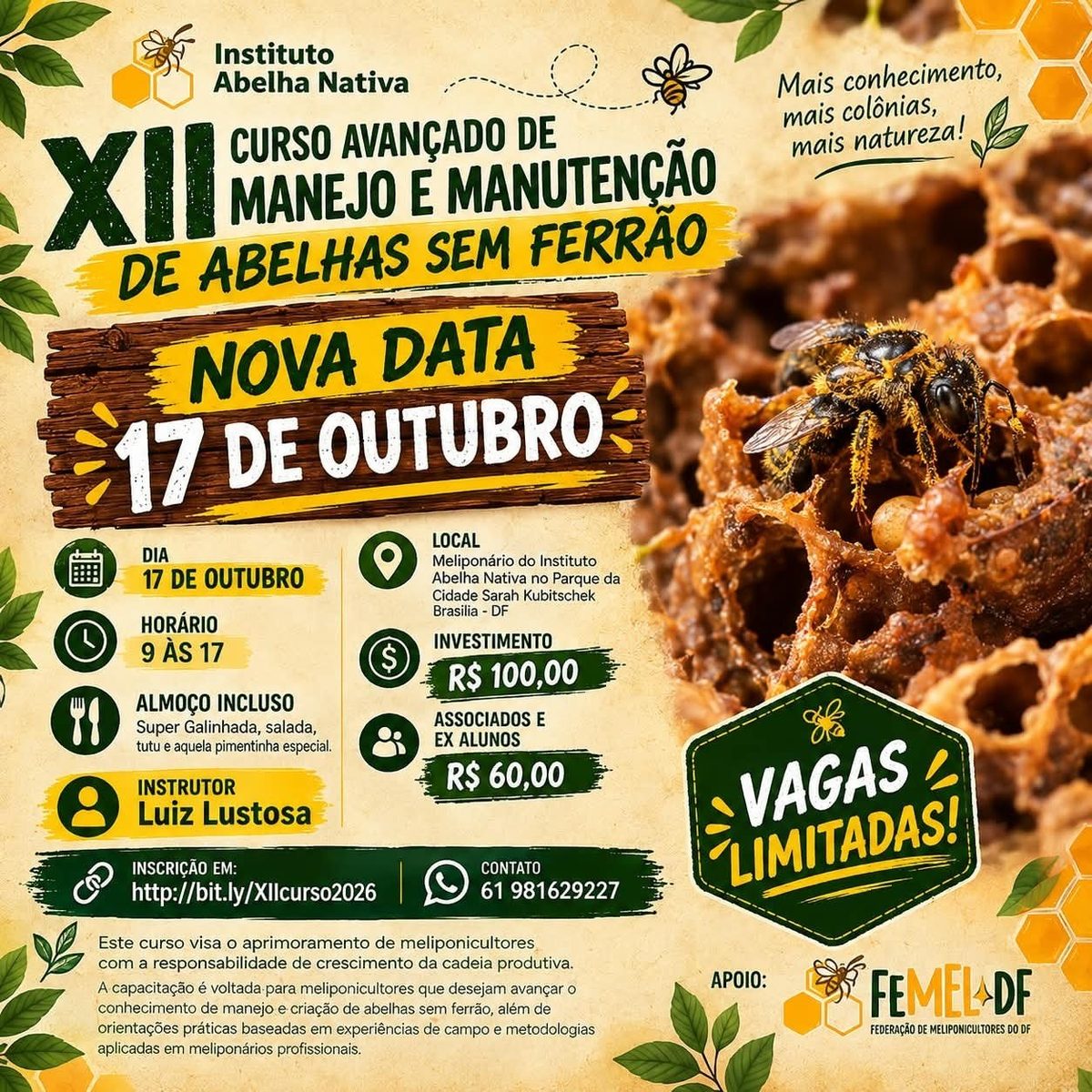 Imagem da fonte — XII Curso de Manejo e Manutenção de Abelhas Sem Ferrão