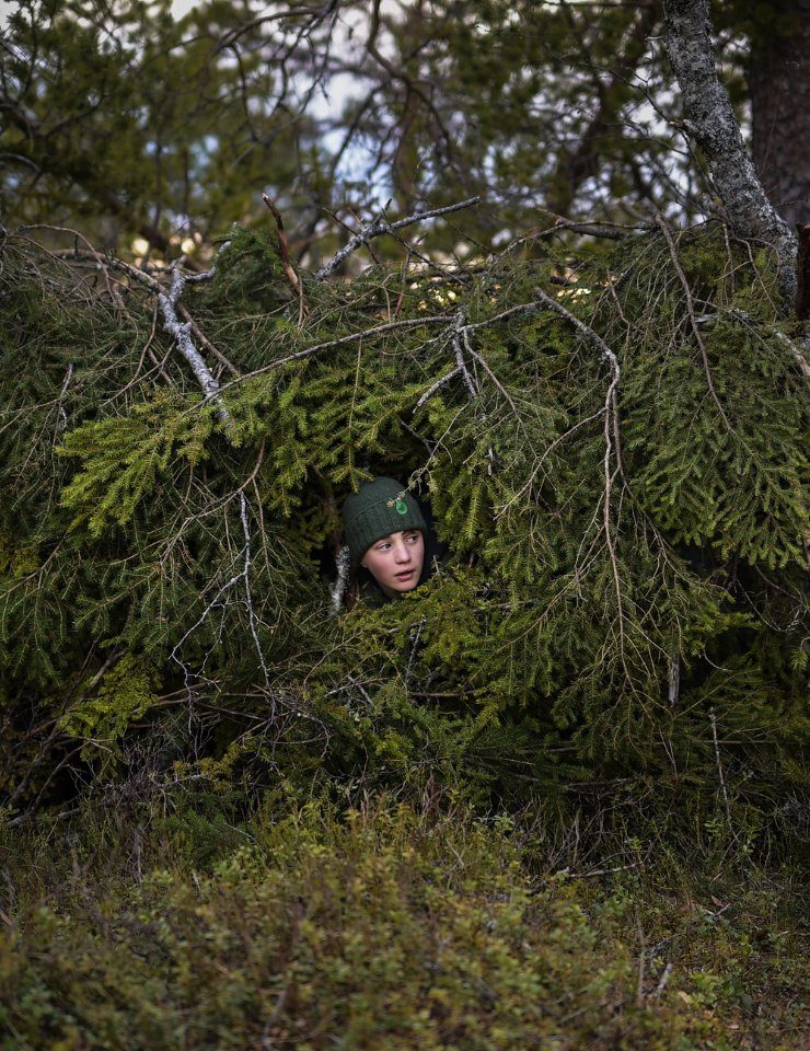 Imagem da fonte — FESTA DO CINEMA FRANCÊS | Le Chant des Forêts