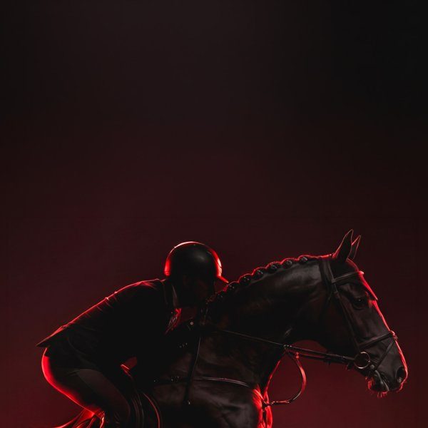 Image de la source — Horse GP
