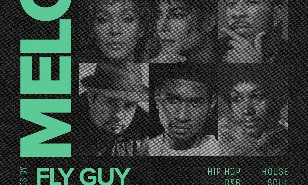 Source image — TIMELESS MUSIC CLASSICS: FLY GUY + MUTIS