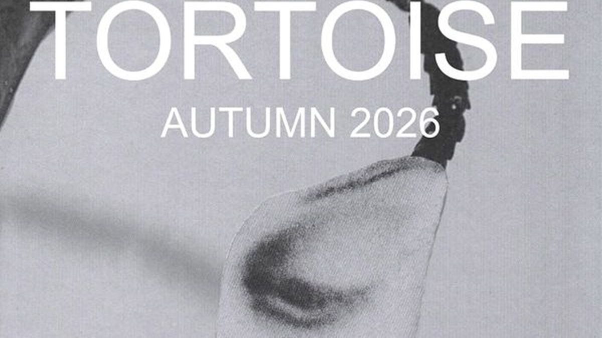 Imagem da fonte — Tortoise