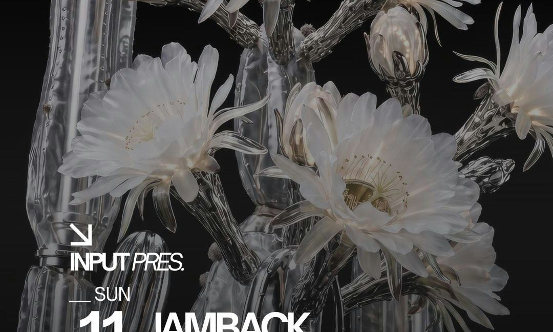Imagen de la fuente — INPUT PRES. JAMBACK