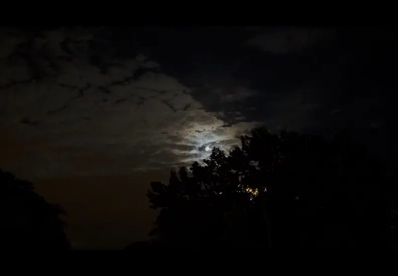 Imagem da fonte — Borrowed Light