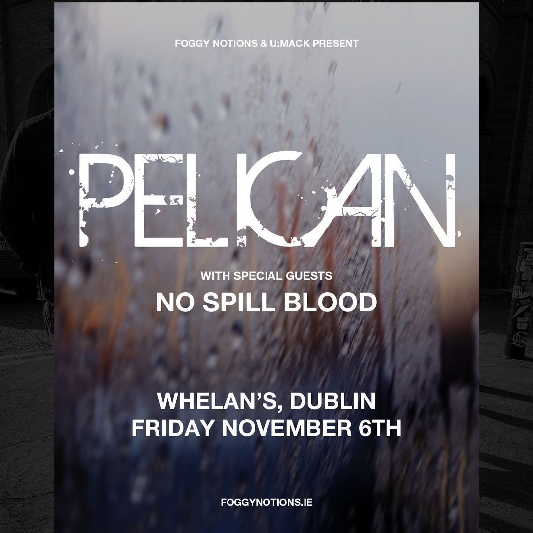 Source image — Pelican