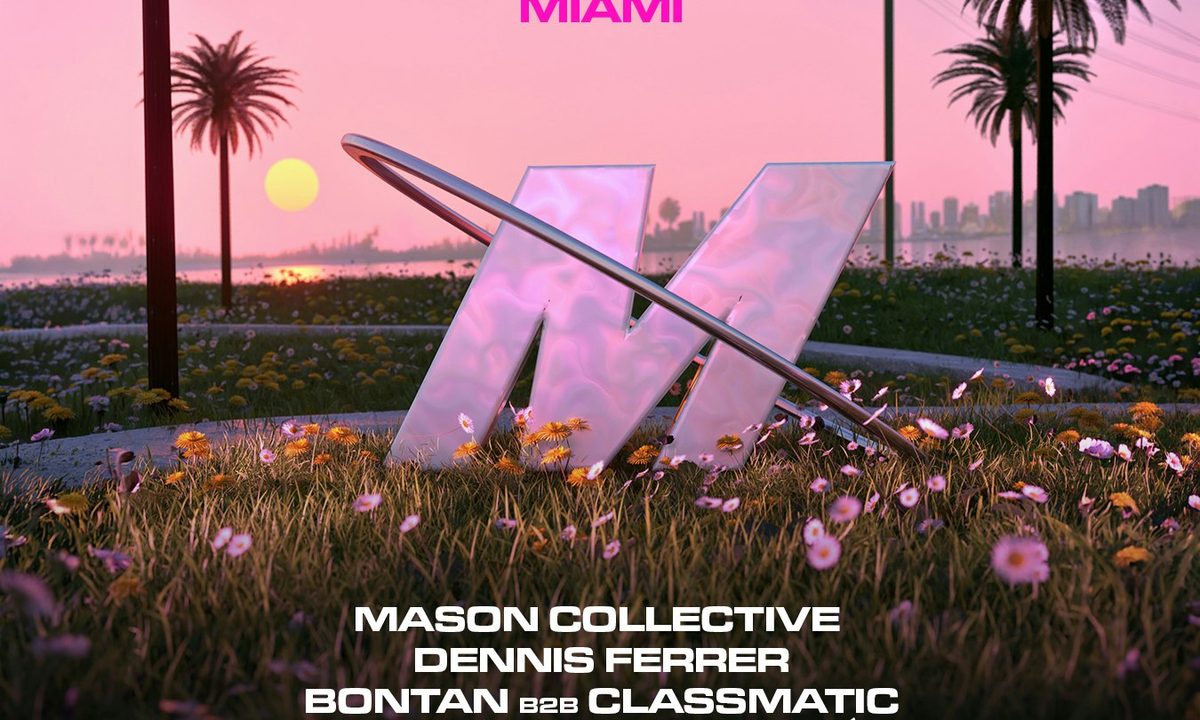 Source image — MVSON