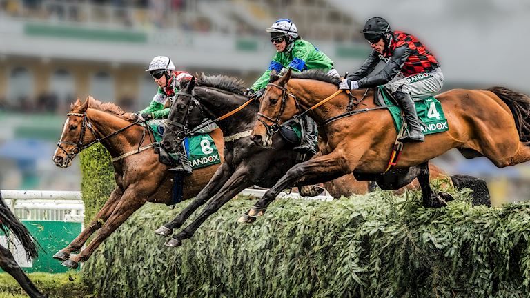 Imagem da fonte — Becher Chase Day