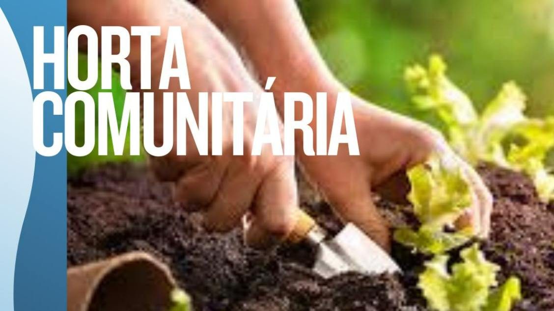 Image de la source — HORTA COMUNITÁRIA