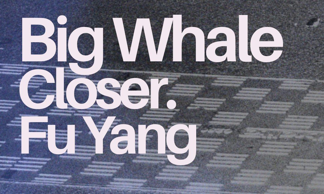 Source image — Big Whale / Closer. / Fu Yang