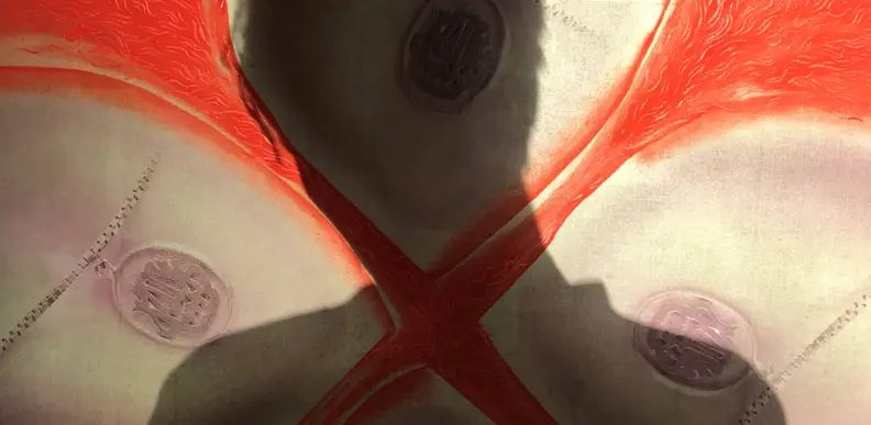 出典の画像 — Artist Talk Elif Saydam