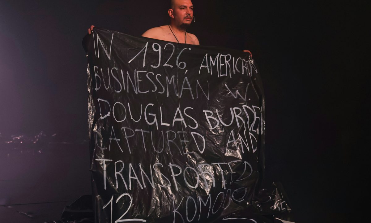 Image de la source — Field Studies Day 3 ft. Agat Sharma, Phoenix Yemi + black:ECHO, Red on Gold